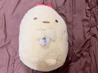画像はゆー（hamusutachannel