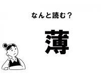 【難読】“はく”で正解？　「薄」と書く植物の読み方