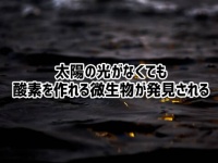 太陽の光がなくても酸素を作れる微生物が発見される