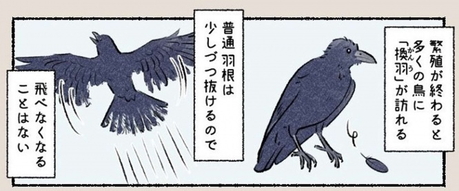 画像は＠iirotoriiさんの投稿より、以下同