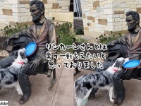 リンカーン大統領とは是非遊びたかった犬。フリスビーを持ってきておねだり