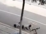 ひぇぇ危ない！　セグウェイでコケた少年がそのまま車に…！