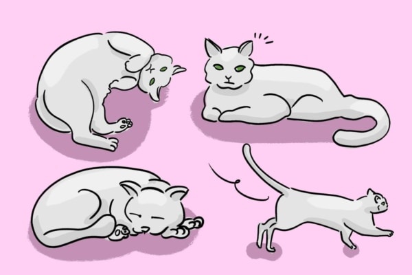 【#心理テスト】自分は好きじゃないのになぜか好かれてしまうタイプとは？