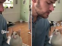 ピアノを弾く飼い主に猫がうっとり。思いっきり甘えてくるのはヒゲメンだからなのか？