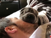 今週のベストペットたち～犬も猫もお馬さんも！冬を乗り切るあったかほっこりな動物たちの映像総集編