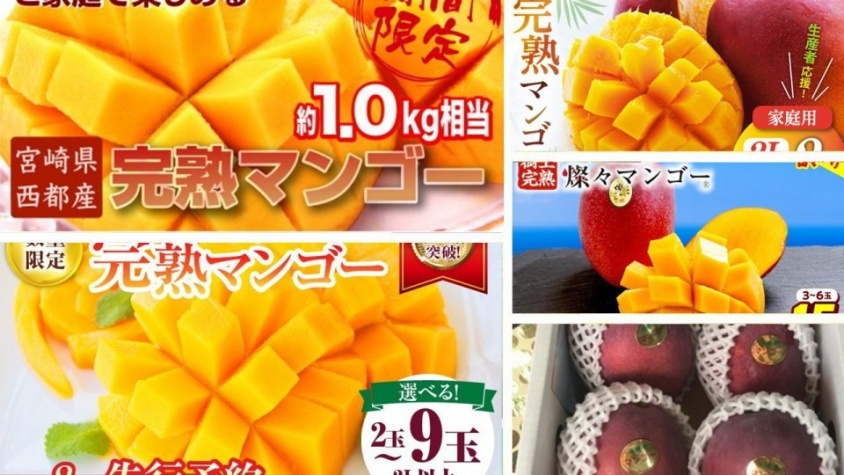 「ジューシーでとろける」「甘くて想像以上に大きい」　ふるさとチョイスで人気の【マンゴー】トップ5