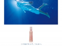 鳥羽市のプレスリリース画像