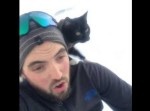 人間の肩に乗っている猫ちゃんのバランス感覚が凄い！