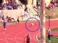 リレーに飛び入りした犬「走るのならだれにも負けないから！」と一気にランナーをごぼう抜きして観客大喜び