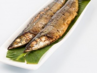西原理恵子「秋刀魚をフライパンで焼く」ブログ写真に、"それはいかん！"