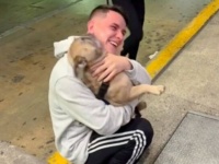 どうして急にいなくなったの？ご主人と7か月ぶりの再会を果たした犬、興奮を抑えられずはしゃぎ回る