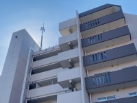 「ちょっと物音をたてただけで、隣の奥さんから強烈な嫌がらせ。部屋を覗き、ベランダに害虫の死骸を...」（都道府県・年齢不明女性）