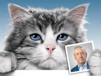 実は猫アレルギー！　『メン・イン・キャット』のソネンフェルド監督インタビュー映像　「私を病院送りにしないネコを使おうと思った」
