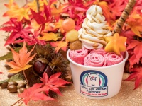 秋限定メニュー「Raspberry Autumn」イメージ