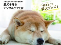 新日本カレンダー株式会社のプレスリリース画像
