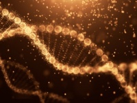 生命の自己複製能力を模倣した人工ゲノムの開発に成功（ドイツ研究）