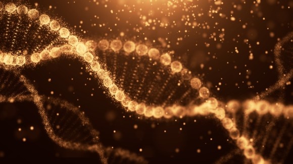 生命の自己複製能力を模倣した人工ゲノムの開発に成功（ドイツ研究）