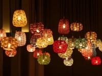 株式会社星野リゾートのプレスリリース画像