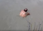 何者！？　“素手魚釣り”達人の正体は…