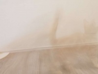 画像提供：＠Pukuri_catさん、再掲