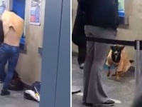 寒さに震える犬に、自分のTシャツを着せて立ち去った男性（ブラジル）
