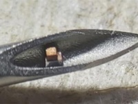 どこまで小さくできるかやってみた。ダニ並みに小さな世界最小の電子チップが誕生。体内に埋め込み検温もできる