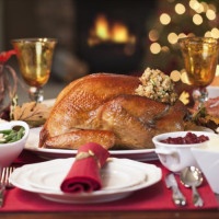Thanksgiving Turkey Dinner