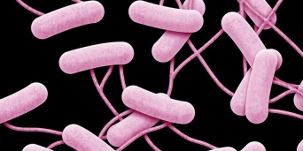 「Doctors Me（ドクターズミー）」コラム画像