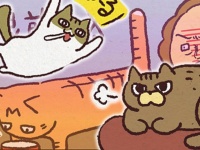 アレな生態系日常漫画「いぶかればいぶかろう」第18回：忙しい時に限って・・・猫飼いあるある