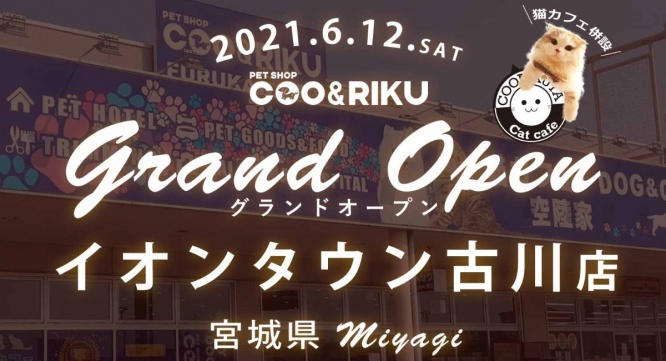 有限会社 Coo&RIKUのプレスリリース画像