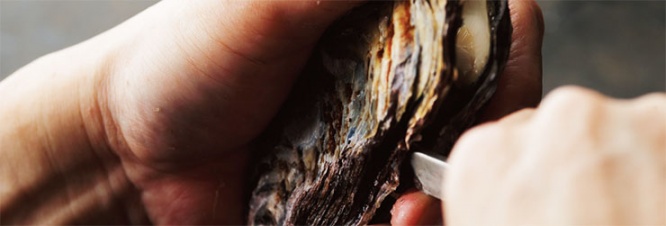 the-cave-de-oyster2