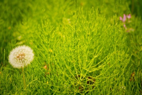 ロックスター14