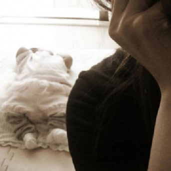 画像はイメージ