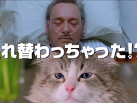 『君の名は。』じゃなくて『君のニャは。』！？　『メン・イン・キャット』より、おもしろパロディ動画到着