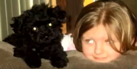 スクリーンショット-(503)