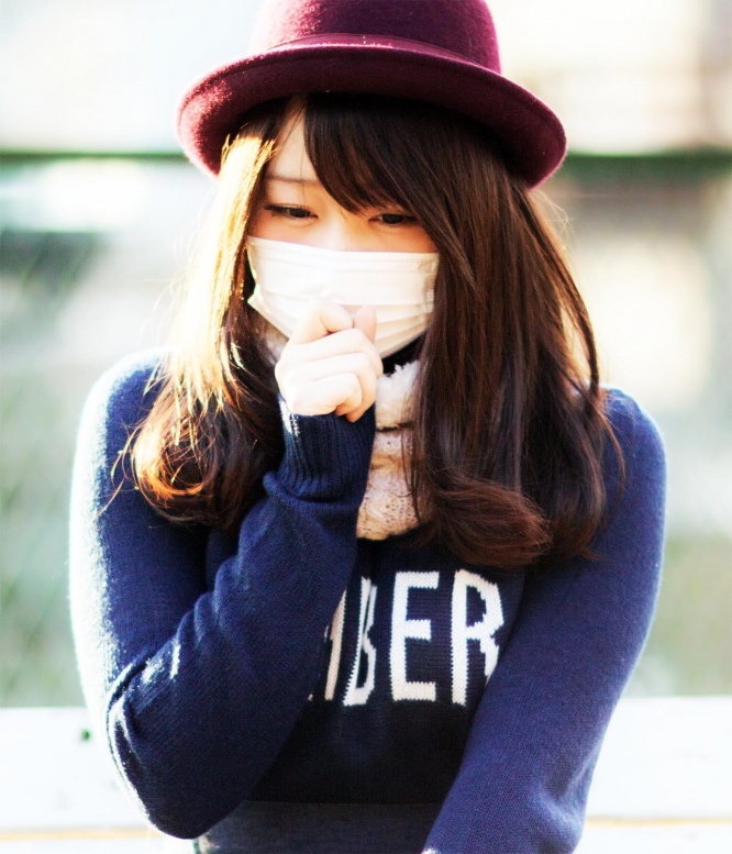 hay-fever-news