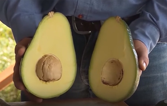 スクリーンショット-(1820)