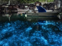 上にも下にも輝く世界　京都・伊根の幻想水景に1.2万人感動「心が洗われる」「神秘的」