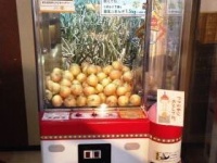 「うずの丘大鳴門橋記念館」スタッフブログ