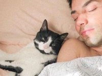 知れば知るほど病みつきにナール。猫による猫のための猫らしからぬ猫画像