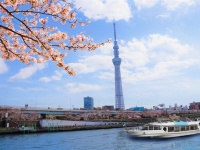 株式会社スパイスサーブのプレスリリース画像