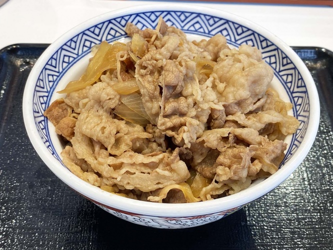 yoshinoya-nikudaku1
