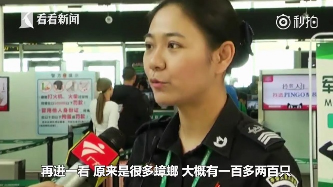 空港の従業員