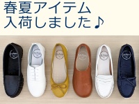 株式会社エルツ・インターナショナルのプレスリリース画像