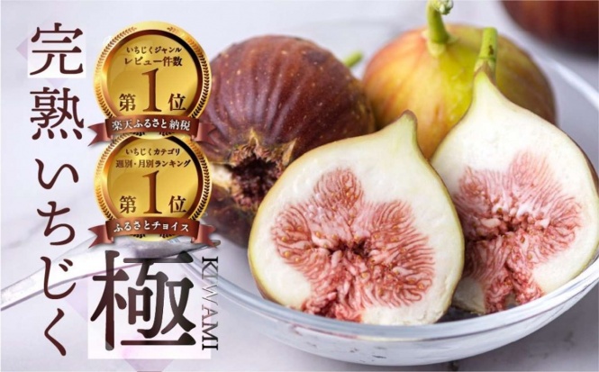 愛知県 田原市「完熟 いちじく［極］ 無花果 9-12玉」16000円（ふるさとチョイスより）