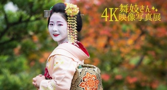 京都フラワーツーリズムのプレスリリース画像