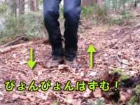 自然が生んだ、森のトランポリンでぽぽぽぽーん