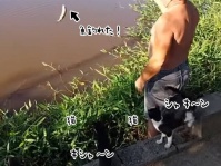 嫌な予感しかしない。魚釣りの様子を背後からじっと見つめる猫2匹