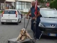 足腰の不自由な犬を台車で散歩させるおじいさんにイタリア全土が感動