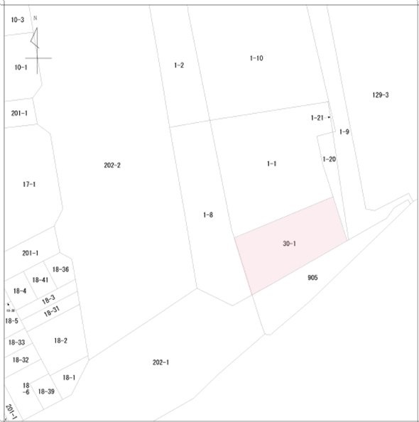 ルミネ新宿１付近の「公図」
